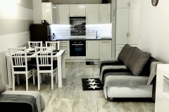 Apartament I – 33 m2 – salon